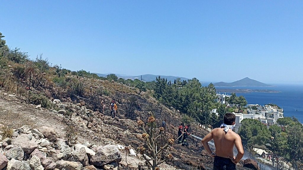 Bodrum’da otluk yangını: 5 hektar alan yandı