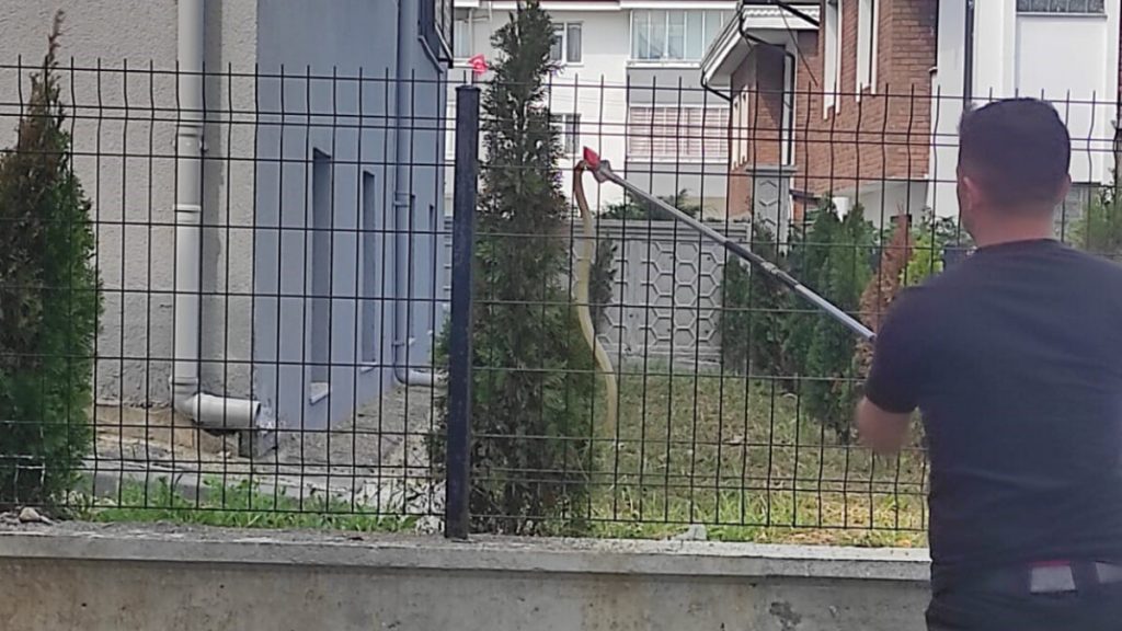 Bolu’da yılan paniği! Ekipler müdahale etti