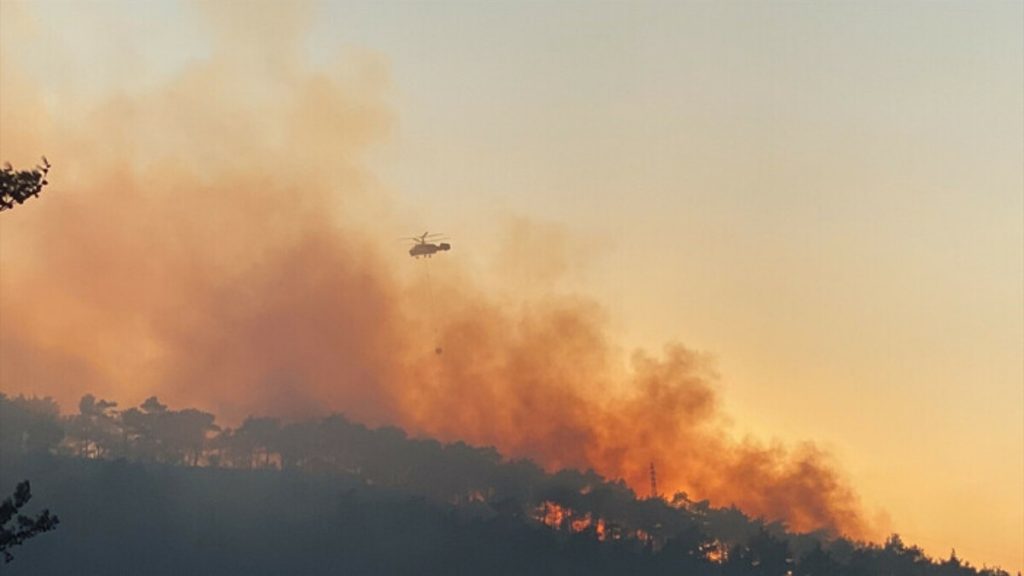 Hatay’da çıkan yangınla ilgili 1 kişi tutuklandı