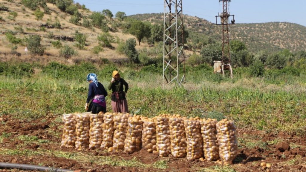 Mardin’de sıcak mesai saatlerini değiştiriyor