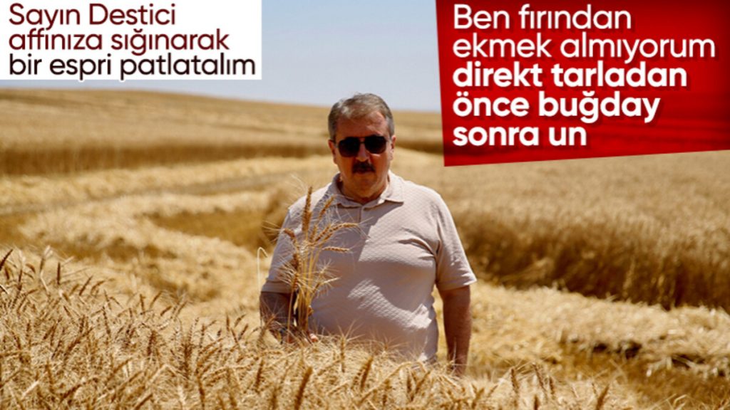 Mustafa Destici, Eskişehir’de buğday hasadına katılıp biçerdöver kullandı