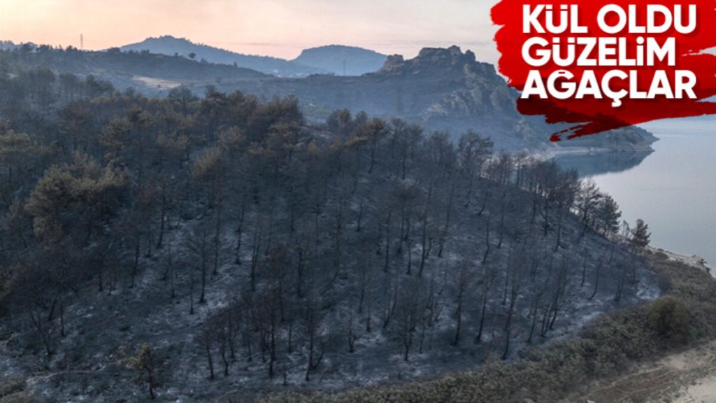 Çanakkale orman yangınında 2’nci gün! Ağaçlar küle döndü…